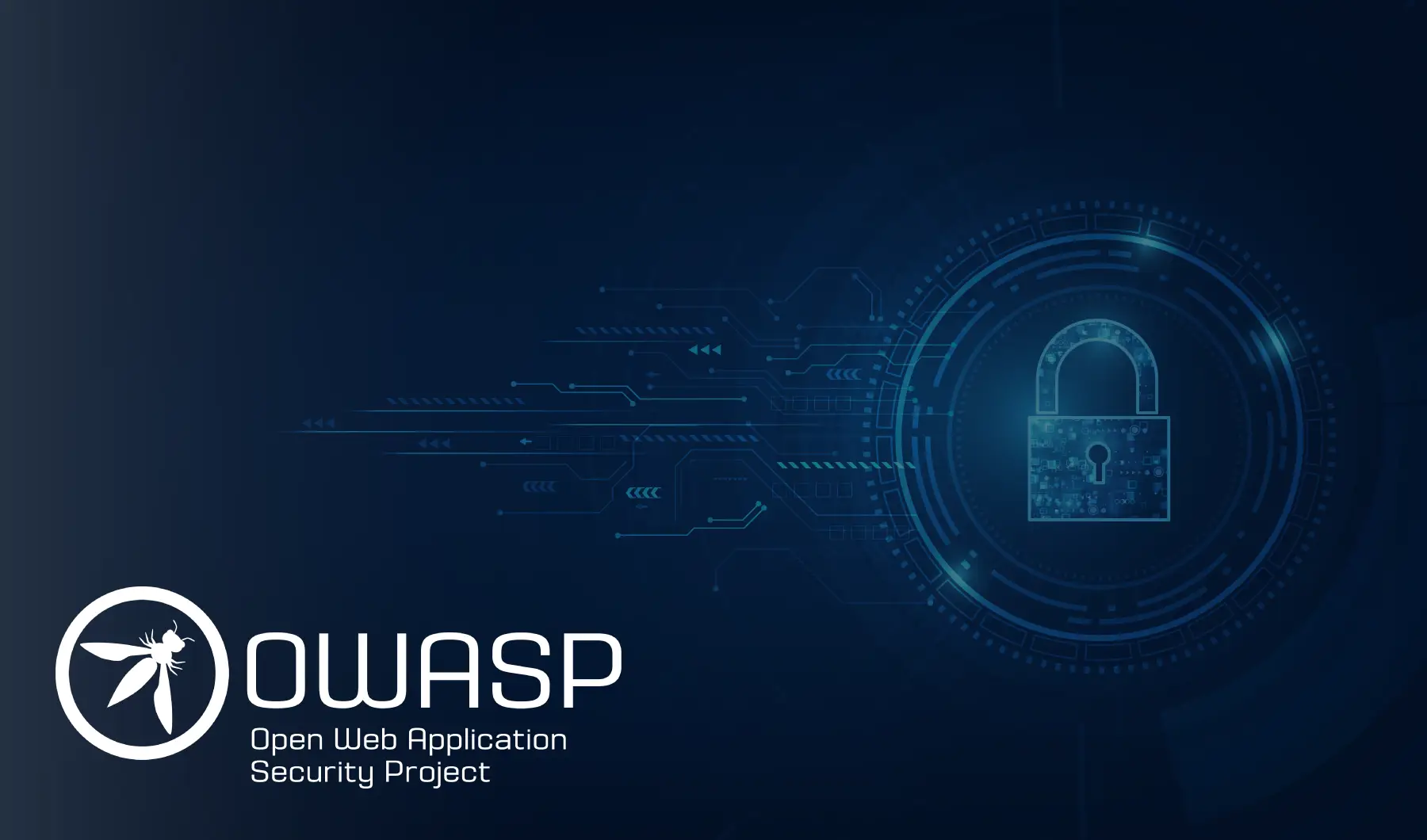 Owasp-overview-images